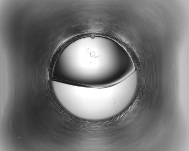 X0000093761214200710160829