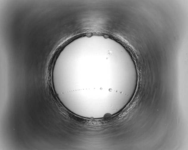 X0000093761215200710160829