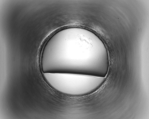X0000093761216200710160829