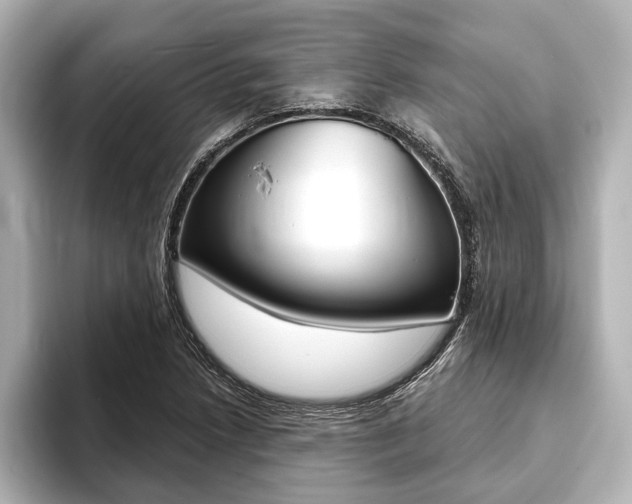 X0000093761218200710160829