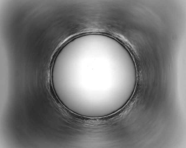 X0000093761220200710160829