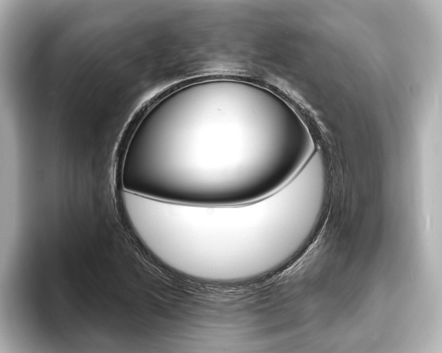 X0000093761222200710160829