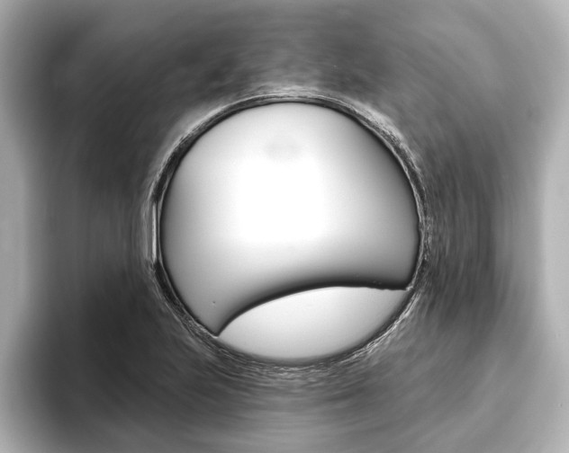 X0000093761223200710160829