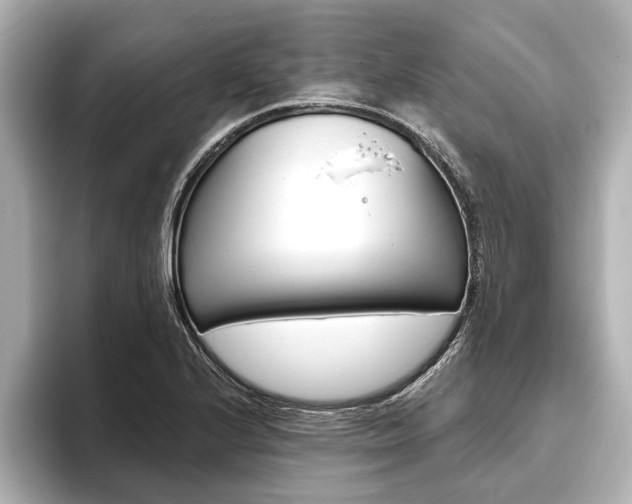 X0000093761224200710160829