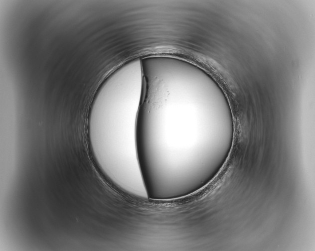 X0000093761225200710160829