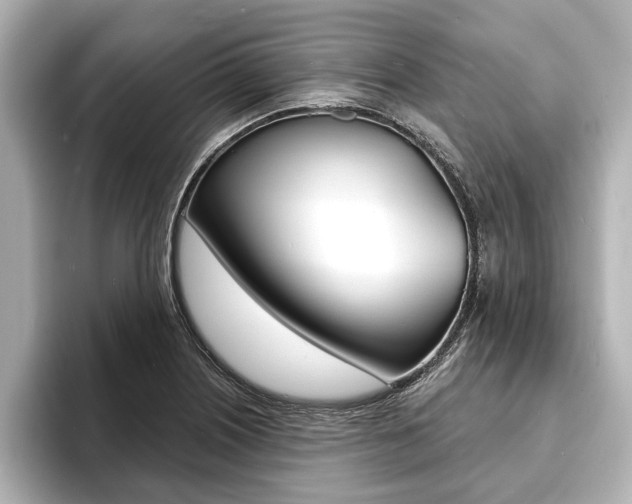 X0000093761226200710160829