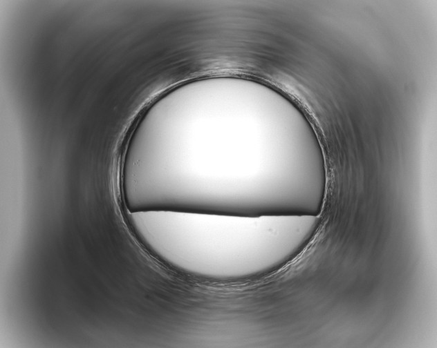 X0000093761227200710160829