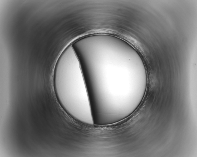 X0000093761228200710160829