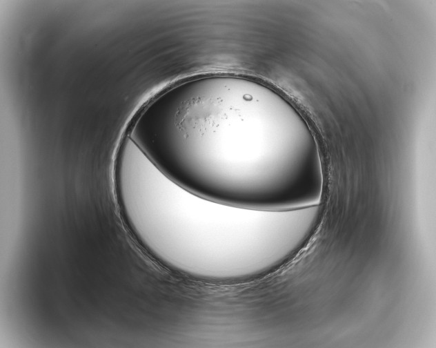 X0000093761230200710160829