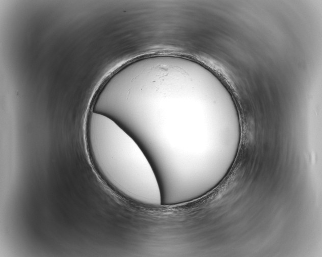X0000093761231200710160829