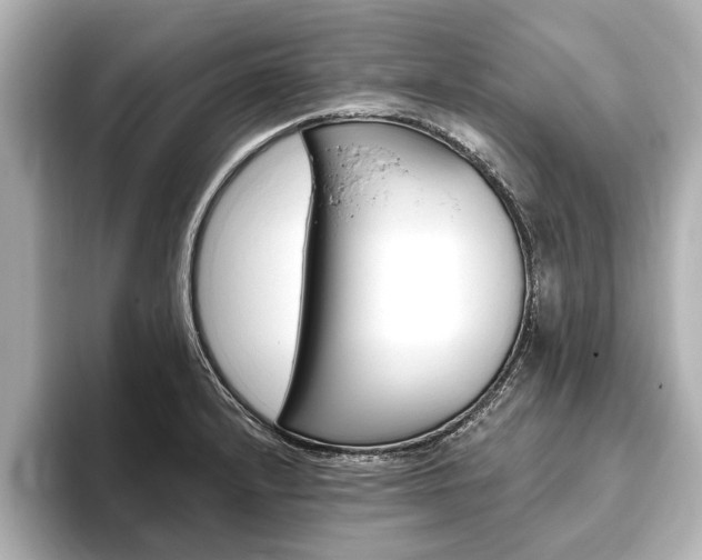 X0000093761232200710160829