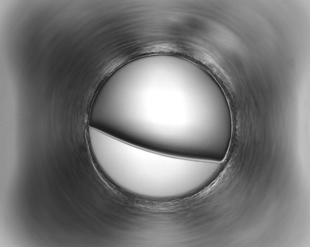 X0000093761233200710160829