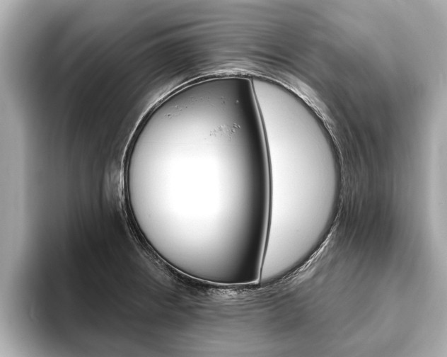 X0000093761234200710160829