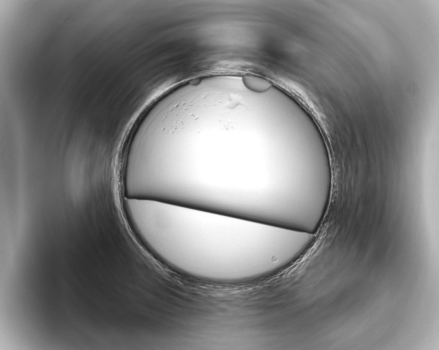 X0000093761235200710160829