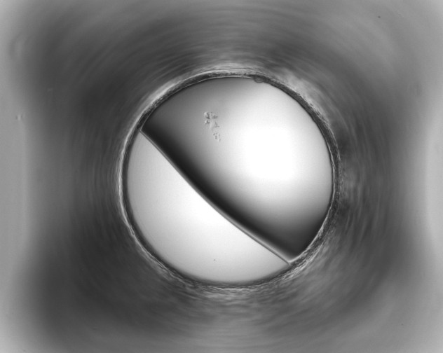 X0000093761237200710160829