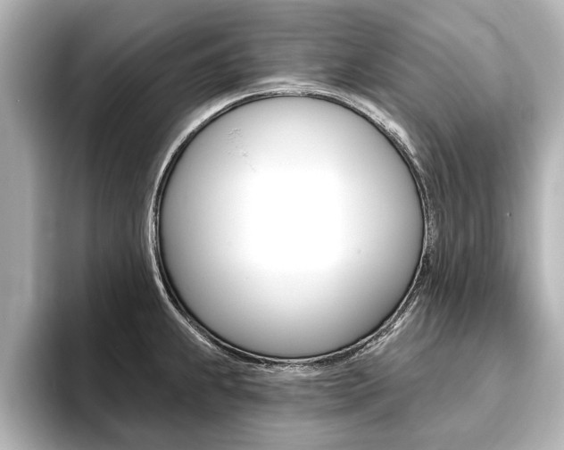 X0000093761239200710160829