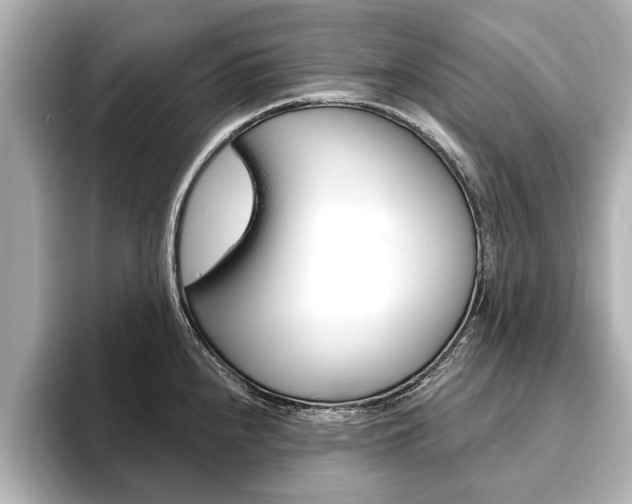 X0000093761240200710160829
