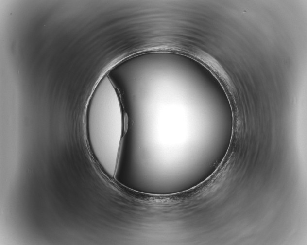 X0000093761242200710160829