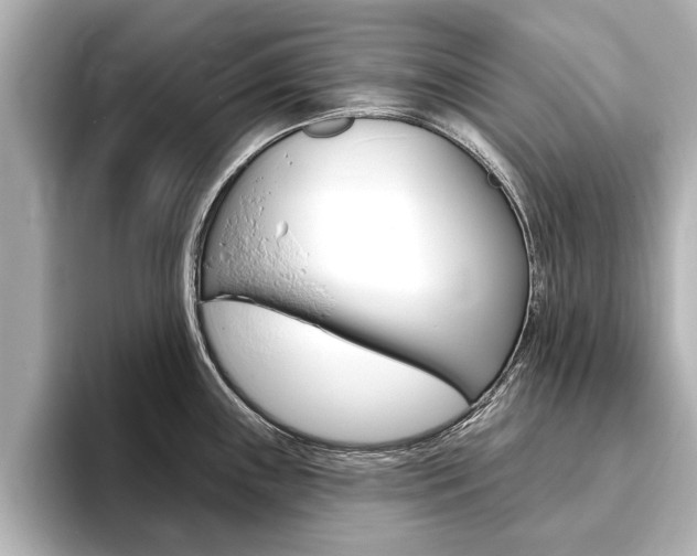 X0000093761243200710160829