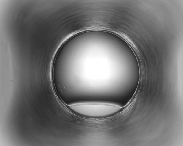 X0000093761246200710160829