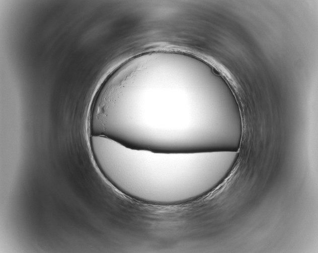 X0000093761247200710160829
