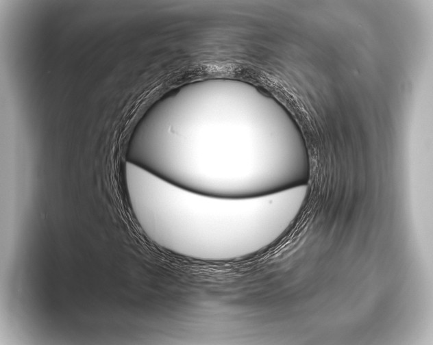 X0000093761249200710160828