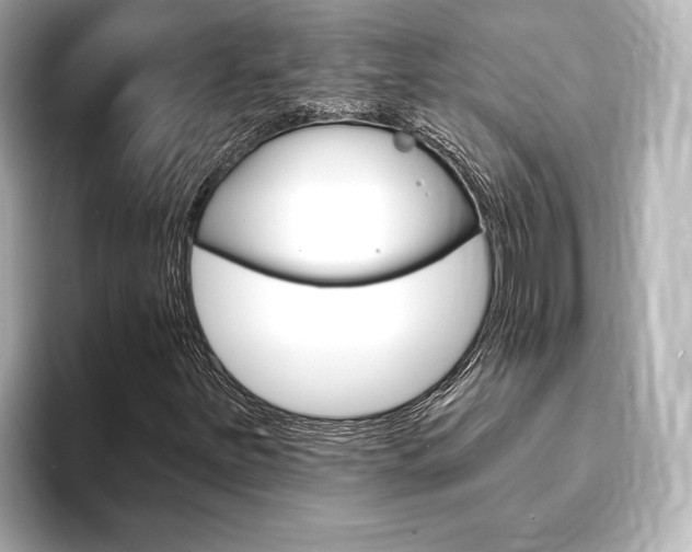 X0000093761251200710160828