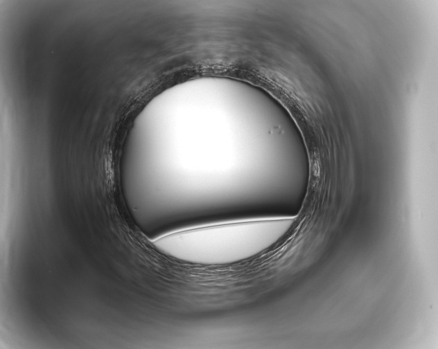 X0000093761252200710160828