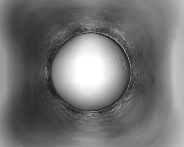 X0000093761253200710160828