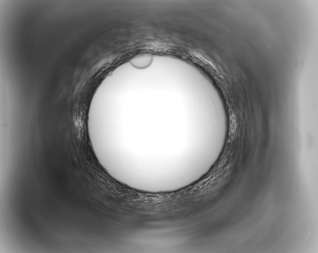 X0000093761254200710160828