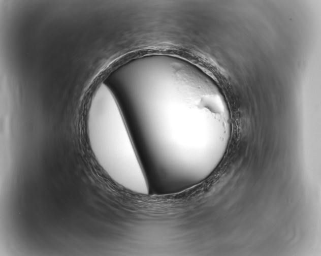 X0000093761256200710160828