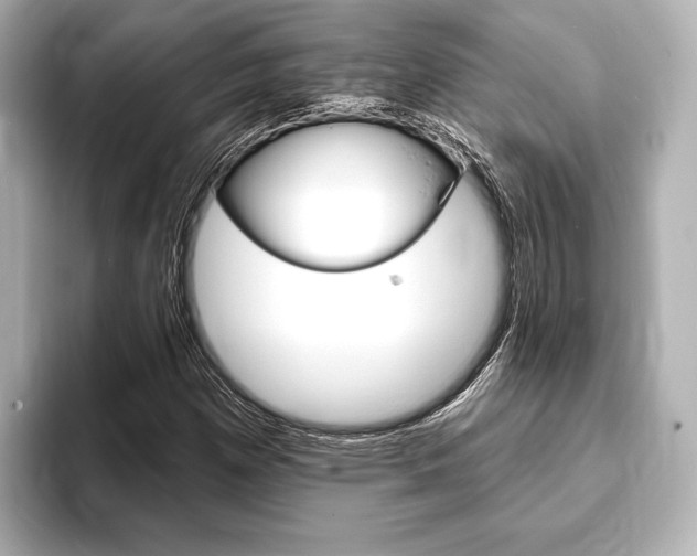 X0000093761257200710160828