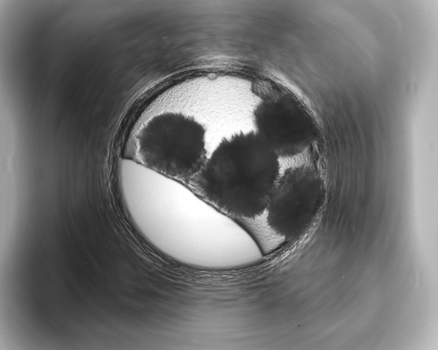 X0000093761259200710160828