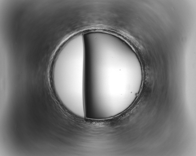 X0000093761264200710160828