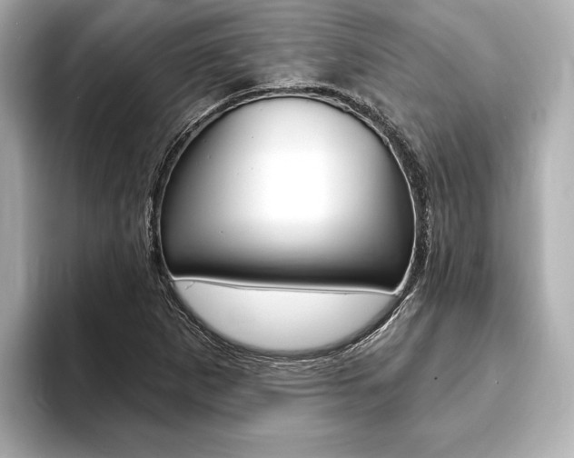 X0000093761265200710160828