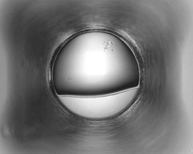 X0000093761269200710160828