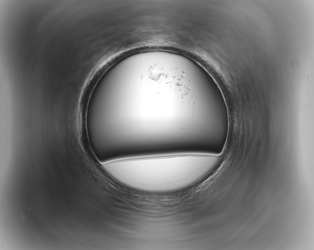 X0000093761270200710160828