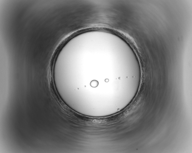 X0000093761271200710160828