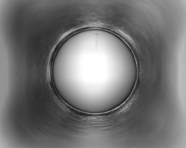 X0000093761272200710160828