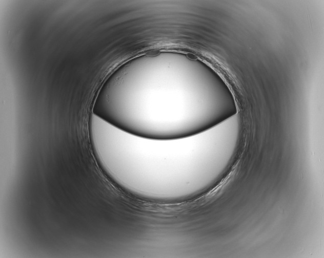 X0000093761273200710160828