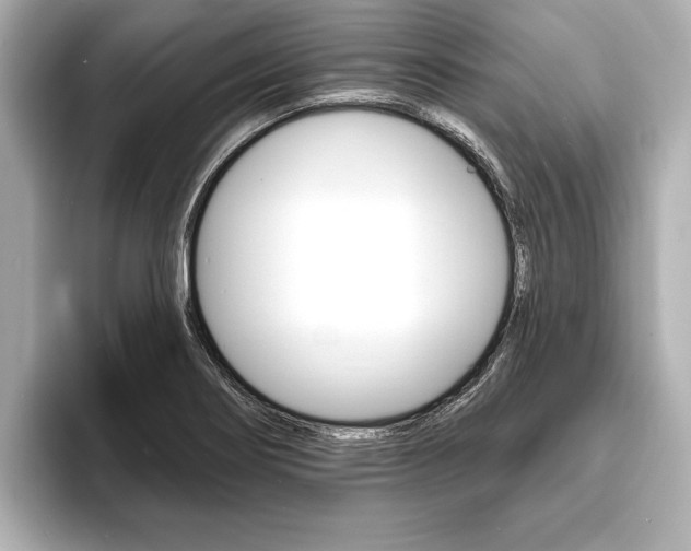 X0000093761274200710160828