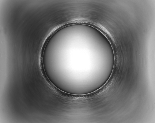 X0000093761277200710160828