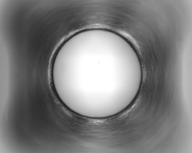 X0000093761278200710160828