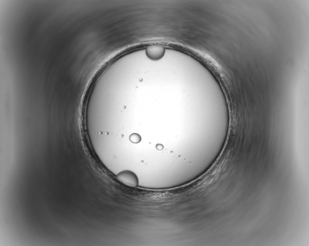 X0000093761279200710160828