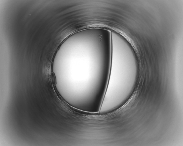 X0000093761281200710160828