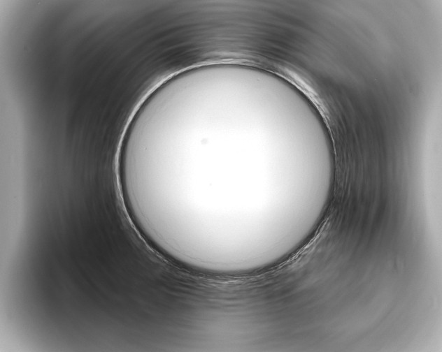 X0000093761283200710160828