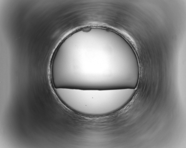 X0000093761287200710160828