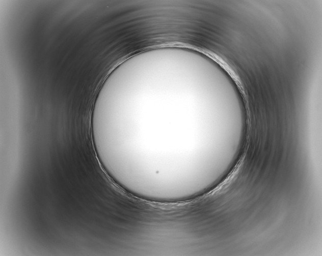 X0000093761289200710160828