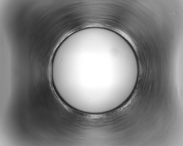 X0000093761290200710160828