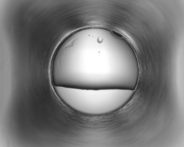 X0000093761291200710160828